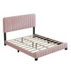 Queen Size Upholstered Platform Bed,No Box Spring Needed, Velvet Fabric,Pink